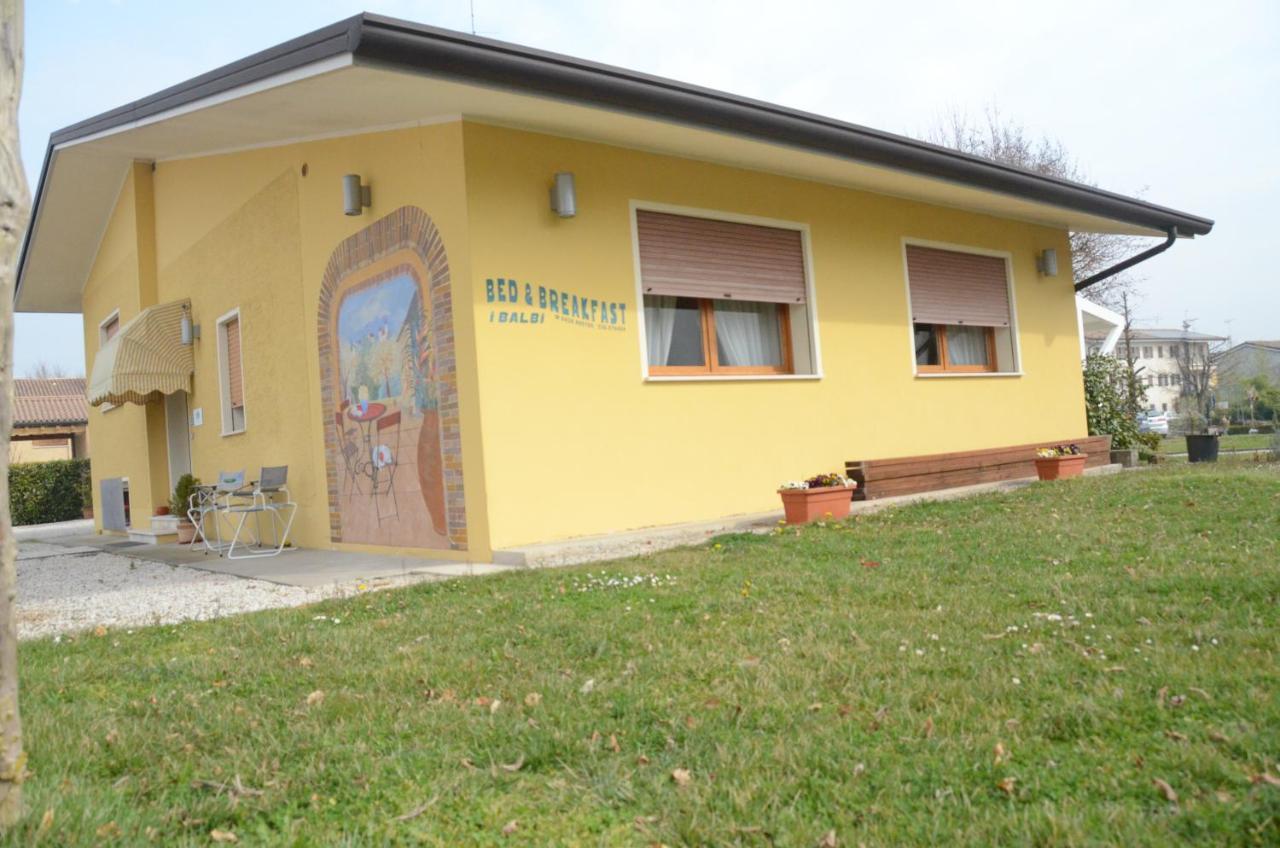 B & B I Balbi Falze di Piave Εξωτερικό φωτογραφία